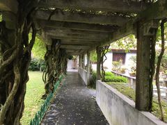 -庐山风景区花径公园
