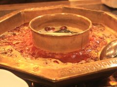 -蜀九香火锅(彩虹店)