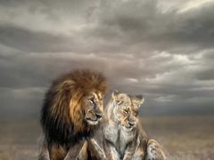 -罗红摄影艺术馆