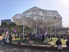 -春花秋色城市公园