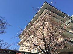 -名古屋城