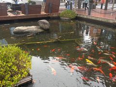 -长阳创谷