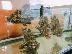 -国际金钻海鲜餐厅