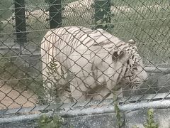 -太原动物园