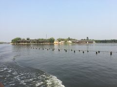-白洋淀景区