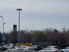 -大兴滨河森林公园