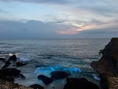 -Rock Bar Bali(Bali)
