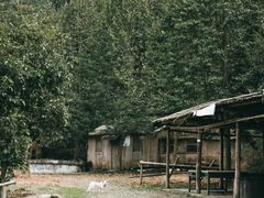 -鹿亭中村