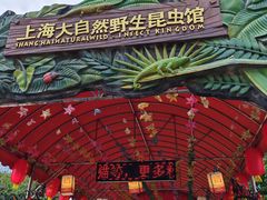 -上海大自然野生昆虫馆(东方明珠·爬宠昆虫探索中心)