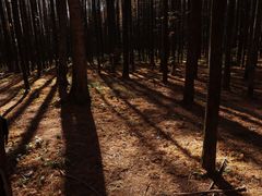 -山王坪喀斯特国家生态公园