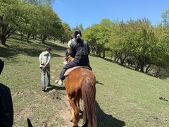 -关山牧场王师烤全羊