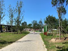 -东郊湿地公园