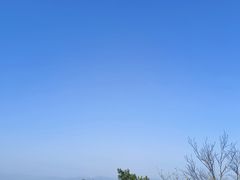 -福建鲤鱼洲酒店