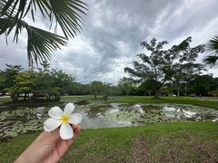 -中国科学院西双版纳热带植物园