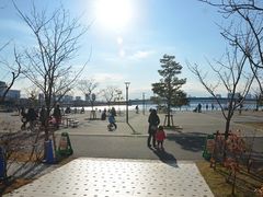 -台场海滨公园船码头