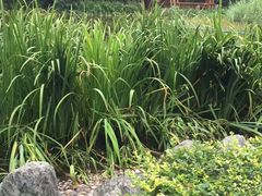-木塔寺遗址生态公园