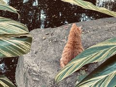 -晓港公园