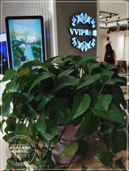 -爱儿美儿童摄影(五路居花园别墅店)