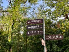 -灵谷景区