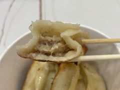 -洋洋锅贴