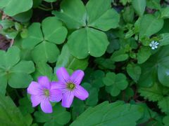 -汉中石门栈道景区