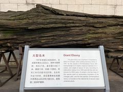 -金沙遗址博物馆