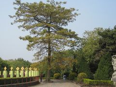 -南沙天后宫景区