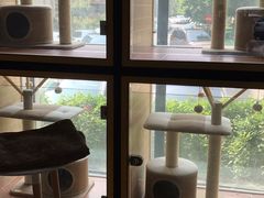 -西元前宠物酒店(郑庄府邸店)