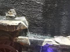 -李氏八大件老菜馆(万宝街店)