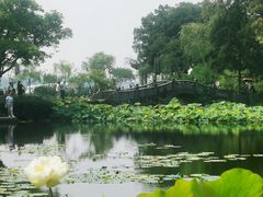 -无锡蠡湖国家湿地公园-蠡园