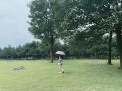 -石家庄市植物园