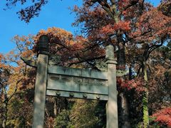 -灵谷景区