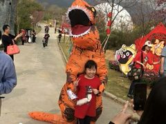 -天适樱花悠乐园