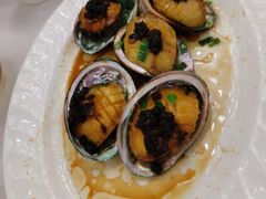 鲍汁扣大连鲍鱼-东江海鲜酒家(艺都分店)