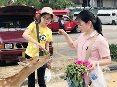 -清迈夜间动物园