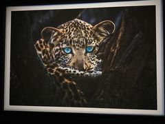 -罗红摄影艺术馆