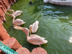 -大连老虎滩海洋公园