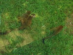 -石家庄市动物园