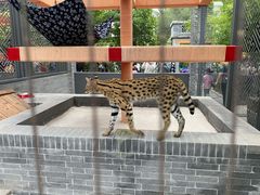 -北京野生动物园