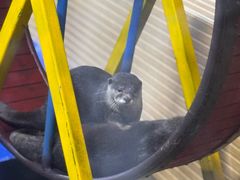 -太平洋海底世界