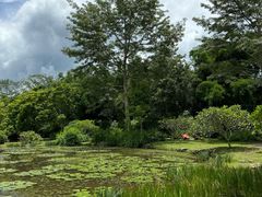 -中国科学院西双版纳热带植物园