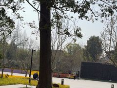 -上海市龙华烈士陵园