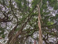 -乌山风景区