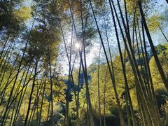 -仙岛湖旅游风景区
