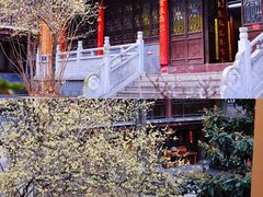 -灵谷景区