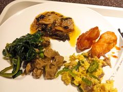 -虹桥机场国航贵宾室v8