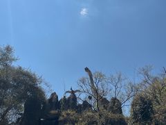 -昆明动物园