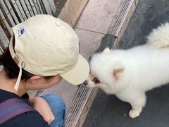 -恒兴发茶店(水巷口店)