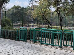 -金山公园