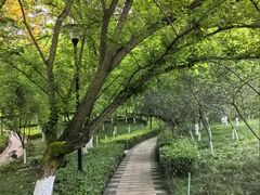 -龙头寺公园